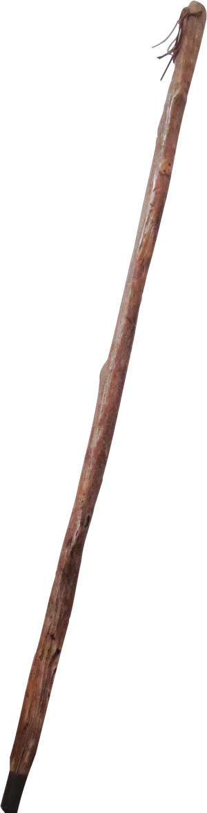 Rustic Walking Stick PNG Image