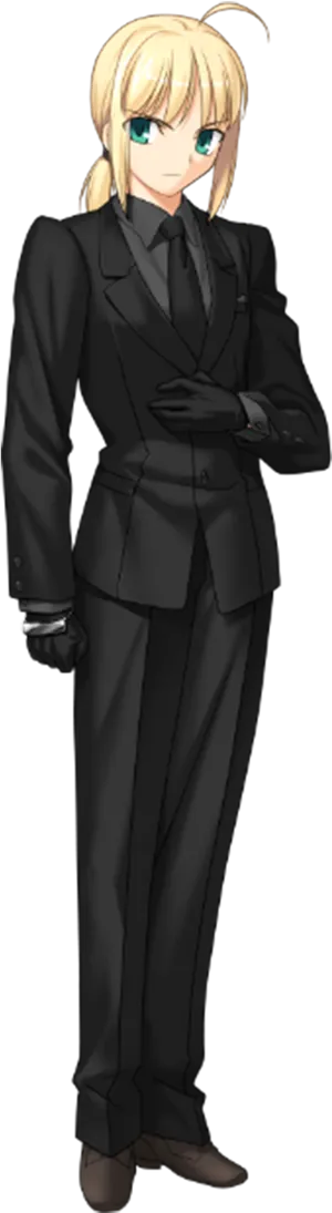 Saberin Suit Fate Series PNG Image