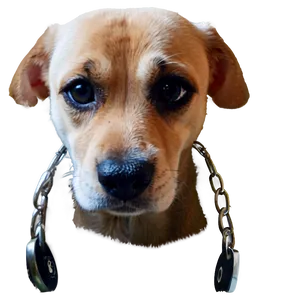 Sad Dog Face Image Png 06212024 PNG Image