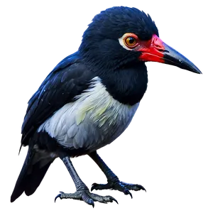 Safari Rare Bird Species Png 06122024 PNG Image