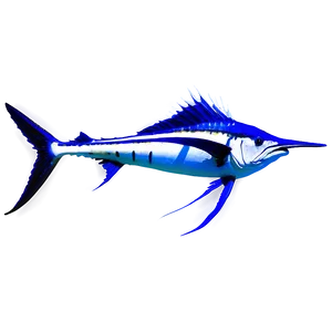 Sailfish And Coral Reef Png Jpn PNG Image