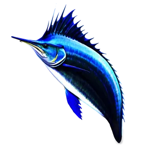 Sailfish In Ocean Png 06262024 PNG Image