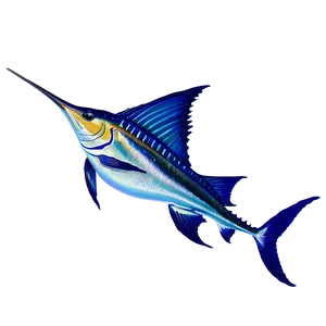 Sailfish Oceanic Journey Png Gmr23 PNG Image