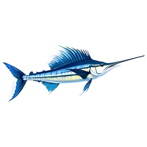 Sailfish Species Profile Png 15 PNG Image