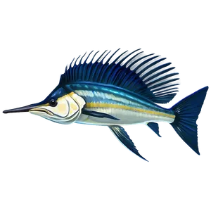 Sailfish Species Profile Png Eto PNG Image