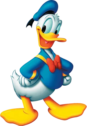 Sailor Duck Cartoon Character PNG Image