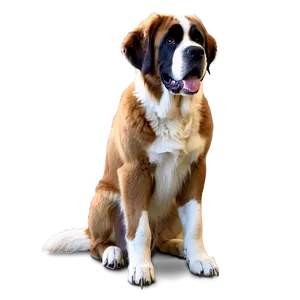 Saint Bernard Sitting Pose Png 15 PNG Image