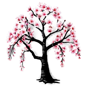 Sakura Cherry Tree Png Hhu PNG Image