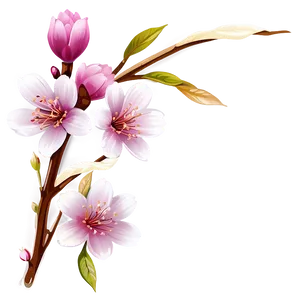 Sakura Flower Clipart Png 06202024 PNG Image