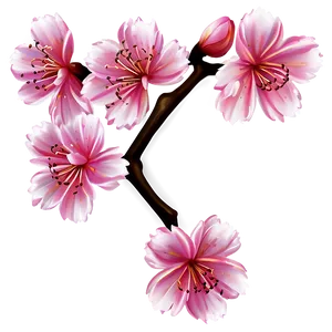 Sakura Flower Illustration Png Her36 PNG Image