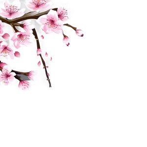 Sakura Flower Vector Png Blt28 PNG Image