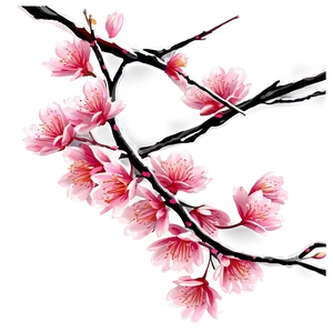 Sakura Tree Branch Close-up Png 82 PNG Image