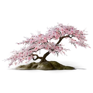 Sakura Tree By The River Png Xbp81 PNG Image