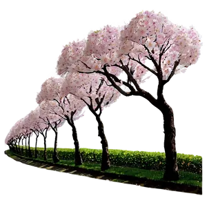 Sakura Tree Pathway Scenery Png Bvw PNG Image