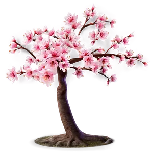 Sakura Tree Png 88 PNG Image