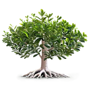 Salt-tolerant Mangrove Plants Png Iiv PNG Image