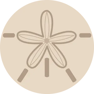 Sand Dollar Icon PNG Image