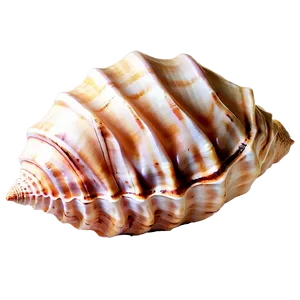 Sandy Beach Conch Shell Png Eap PNG Image