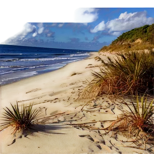 Sandy Coastal Dunes Landscape Png Dsl PNG Image