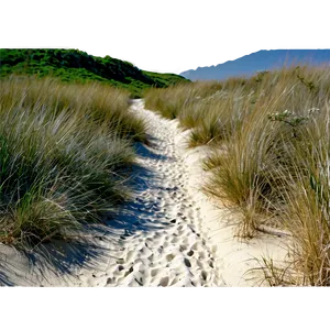 Sandy Path Through Dunes Png Pkg PNG Image