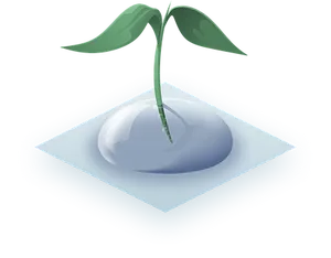 Sapling Growing From Drop Illustration PNG Image