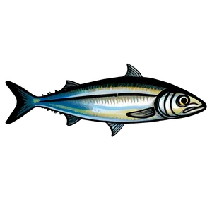 Sardine Art Png 06292024 PNG Image