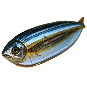 Sardine Can Open Png Oma PNG Image