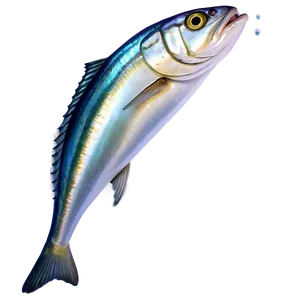 Sardine Graphic Png Kyi48 PNG Image