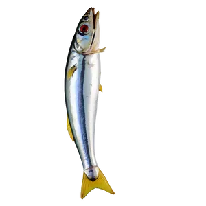 Sardine Icon Png 53 PNG Image