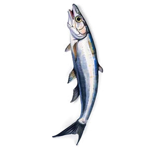 Sardine Illustration Png Esq PNG Image