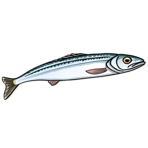 Sardine Illustration Png Omc PNG Image