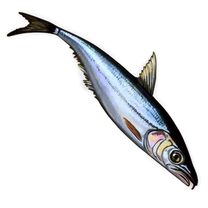 Sardine Illustration Png Vpv26 PNG Image