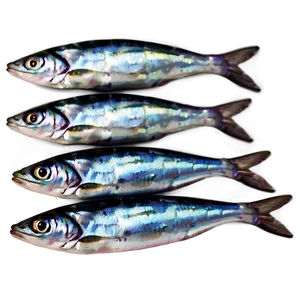 Sardine Pattern Png Ggu PNG Image