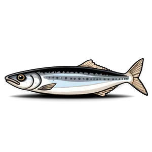 Sardine Sketch Png 23 PNG Image