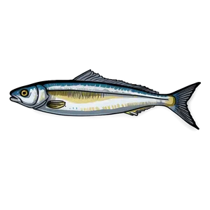 Sardine Sketch Png Wpe PNG Image