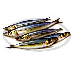 Sardine Snack Png 06252024 PNG Image