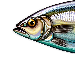 Sardine Snack Png 06252024 PNG Image