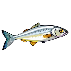 Sardine Vector Png Ryf PNG Image