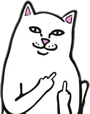 Sassy Cat Meme Gesture PNG Image