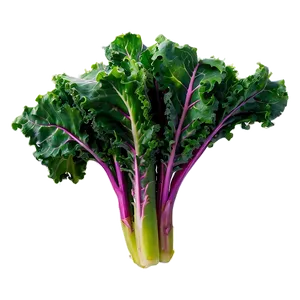 Sautéed Kale Png 06252024 PNG Image