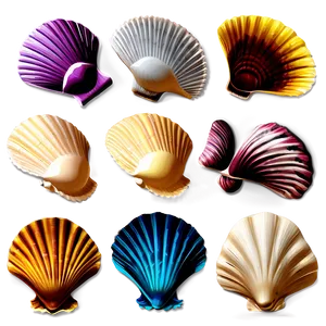 Scallop Shells Collection Png 18 PNG Image