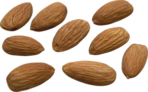 Scattered Almonds Isolated Background PNG Image