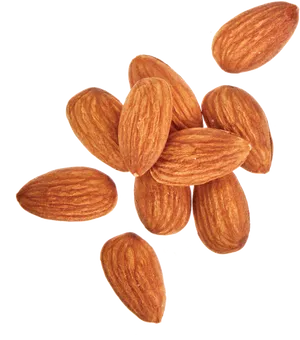 Scattered Almonds Isolated Background PNG Image