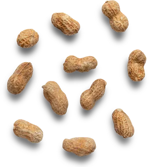 Scattered Peanutson Dark Background PNG Image