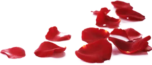 Scattered Red Rose Petals PNG Image