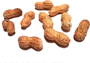 Scattered_ Shelled_ Peanuts PNG Image