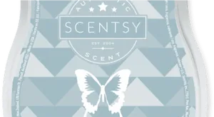 Scentsy Logo Display PNG Image