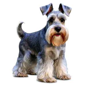 Schnauzer Clipart Png 06262024 PNG Image