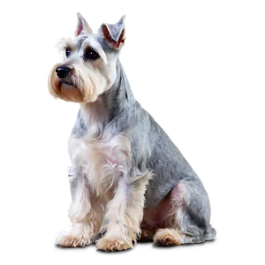 Schnauzer Guard Dog Pose Png Tex23 PNG Image