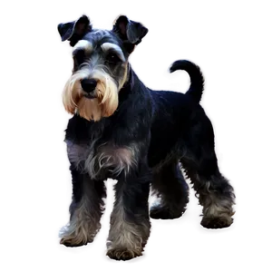 Schnauzer Silhouette Png 06262024 PNG Image